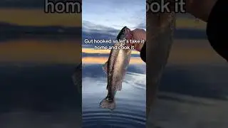#catchncook  for my boyfriend! #fishing #trout