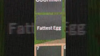 Roblox Shoot and Eat Noobs - Fattest Egg