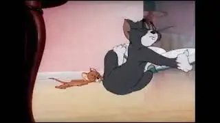 Tom and jerry react to amir liaqat seemed.  # do number meemes