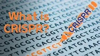 Sanger Institute - What is CRISPR?