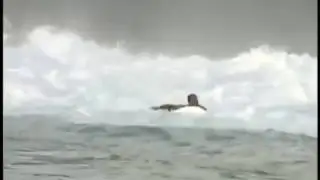 Mike Stewart - Teahupoo 1999.