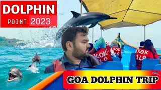 Dolphin Point Goa | Dolphins Trip in Goa near Calangute | 300/- Rs.@Coco Beach | Coco Beach Goa