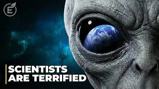 These Paradoxes Keep Scientists Awake At Night!