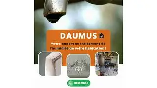 Daumus 6 sec Video Youtube