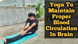 Yoga Poses To Improve Blood Circulation || Brain To Legs || Best Exercises for Paralysis (Stroke )