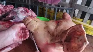 Transare cap de porc