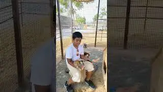 Jason feeding Leumer #familytime #Jason #jason&johvan #tamil #uae #jjbros #firsttime #reels #shorts