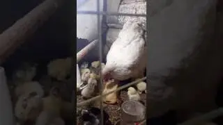 20170807 220657