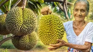 Durian Smoothie | Durian Recipe | Durian Fruit Juice | Durian Shake