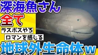【2ch動物スレ】「深海魚」さん、どいつもこいつも意味わからな過ぎて地球外生命体だと話題に・・・→もはや恐竜よりもロマンがあるのでは？【生き物】