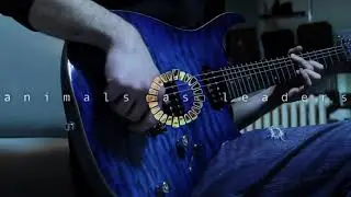 Nephele guitar cover - by Dario Firpo