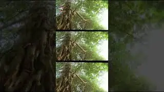 சென்னையின் மர்மமான டீமான்டி காலனியின் உண்மை கதை _ Mystery about Demonte Colony Tamil#ghost