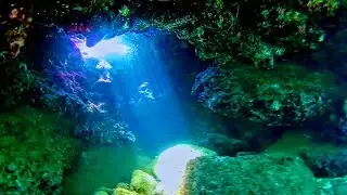 The beauty of freediving 2018.