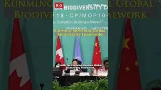 International Biodiversity Day: Dimmed by Deepening Crisis