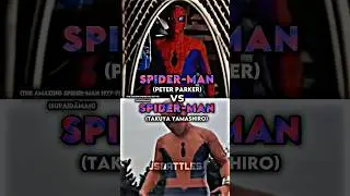 Spider-Man vs Spider-Man (Takuya Yamashiro)