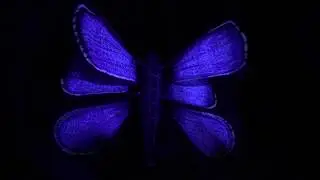 CidneOn 2018 Festival Internazionale delle Luci a Brescia