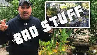 The Weekly Ribbit #60: Why should you net your fish pond in the fall?