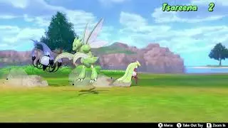 Pokemon Camp and race funny moments