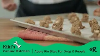 Easy Apple Pie Bites for Dogs Recipe | Gluten-Free Fall Treats by Rover