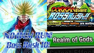 [DBZ] BOSS RUSH 10! NO ITEM RUN!! DBZ: Dokkan Battle Global!