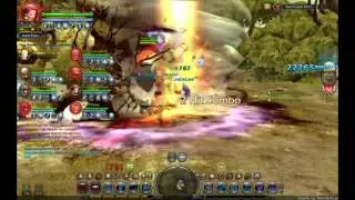 Dragon Nest SEA - Sea Dragon Nest Raid (Smasher)