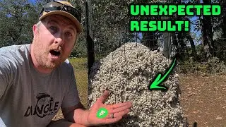 DEER feeder RESULTS are IN! | do COTTON seed feeders WORK?!
