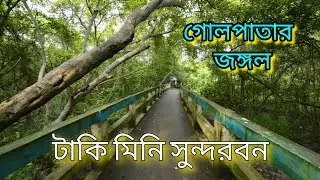 মিনি সুন্দরবন টাকি | Taki Mini Sundarban | Golpata Forest Tour 2025