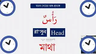 Human body parts insect names || JAYED ||