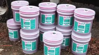 Bioremediation of Gasoline Contaminated Soil