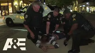 Live PD: Hit-and-Run Hobbled (Episode 33) | A&E