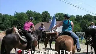 Horse Sensory/Trail Clinic