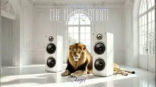 The White Room | Angel | What Remains - Album - DJ Raid Raiden