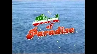 Big Mike Colonia - Bird of Paradise (mit Gianni La Bamba)