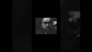 &laquo;Человек, который переводил нацистов (и, вероятно, их неловкое молчание)&raquo;