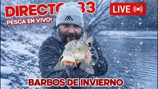 Tras los GRANDES BARBOS de Invierno!! 🔴 Pesca EN VIVO con CEBO natural!