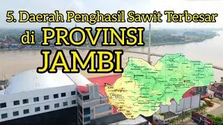 5 Daerah Penghasil Produksi Kelapa Sawit Terbesar di Provinsi Jambi