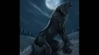 Anime Wolves- My Last Breath