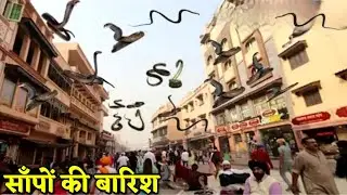 सांपों की बारिश का Mojza || Snake Rain Real Or  Fake 🤥 || Junaid Aalam