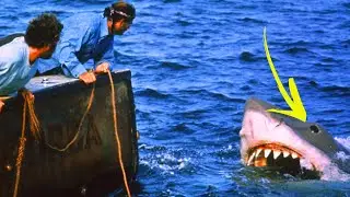Jaws (1975): 10 Weird Facts Every Fan Should Know