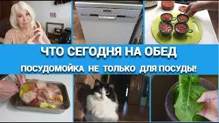 Домашний влог😃Посудомоечная машина -не только для посуды!Что я сегодня готовлю на обед@SubTatiana