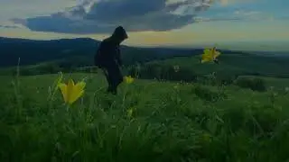 ASRM. Ambient nature (Проходная 22.06.2021)