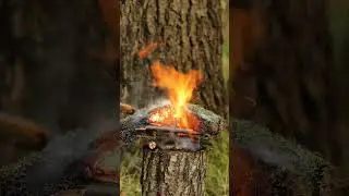 gas fire 2