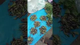 sale of local jhum area fruits and vegetables in the streets side in our local market