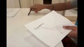 This was my skills in 2025