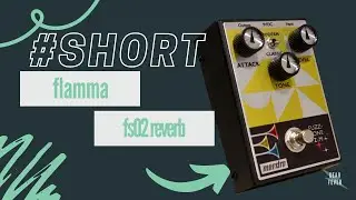 Maestro FZ-M // Unboxing & Sonic Snack #short