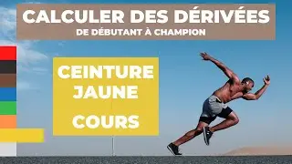 Calculer des dérivées - Ceinture jaune - Cours