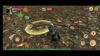 Wild Panther Sim Part 1