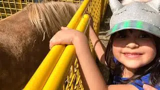farm animals park and funny days with kids Sisi and Family