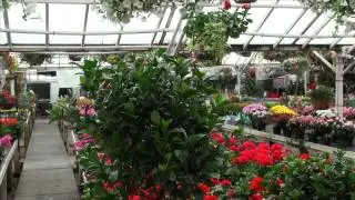 Boesen the Florist Garden Center Des Moines, Iowa - Promo Spring 2013