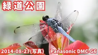写真 緑道公園 2014-08-27 (Panasonic DMC-G6で撮影)